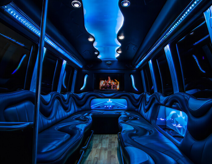 Audi limo interior